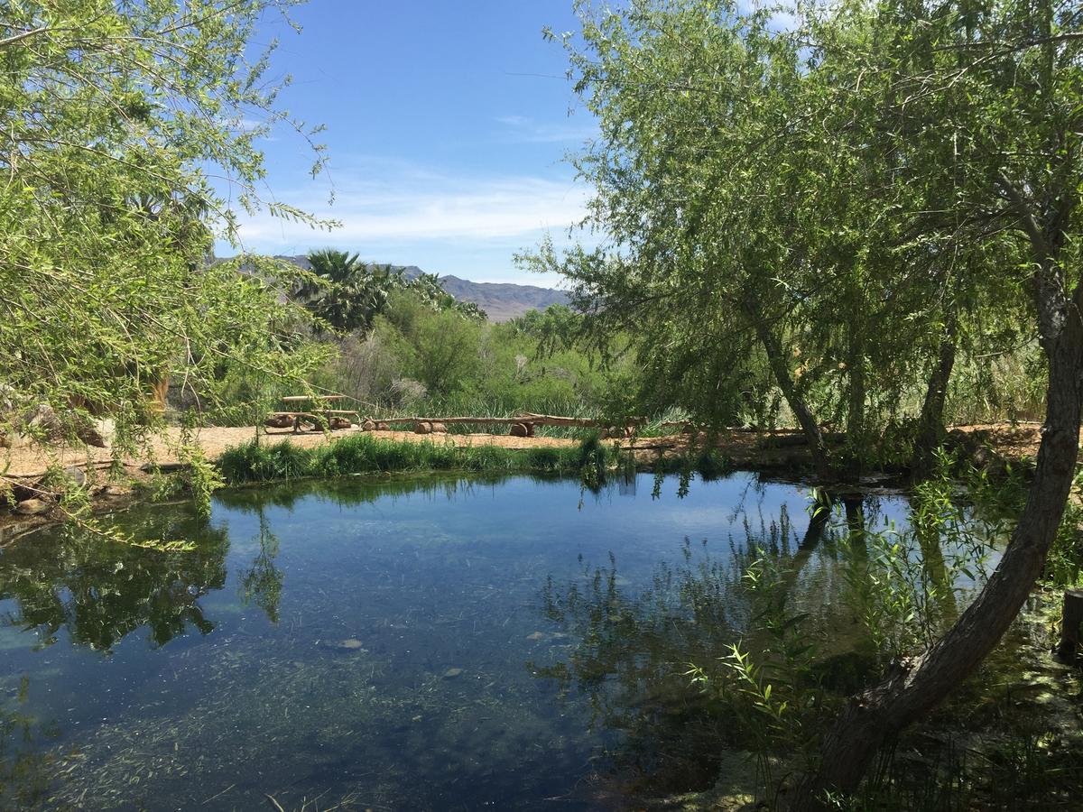 מלון Shoshone Rv Park מראה חיצוני תמונה